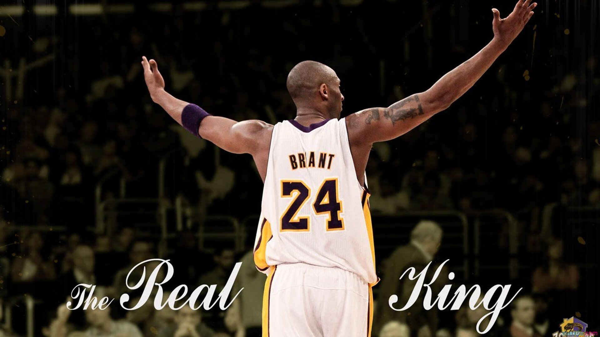 _森林狼队内部磨合日益成熟，季后赛希望升起_，森林狼队阵容